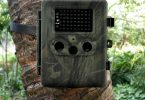 photo d'une caméra de chasse postée sur un arbre