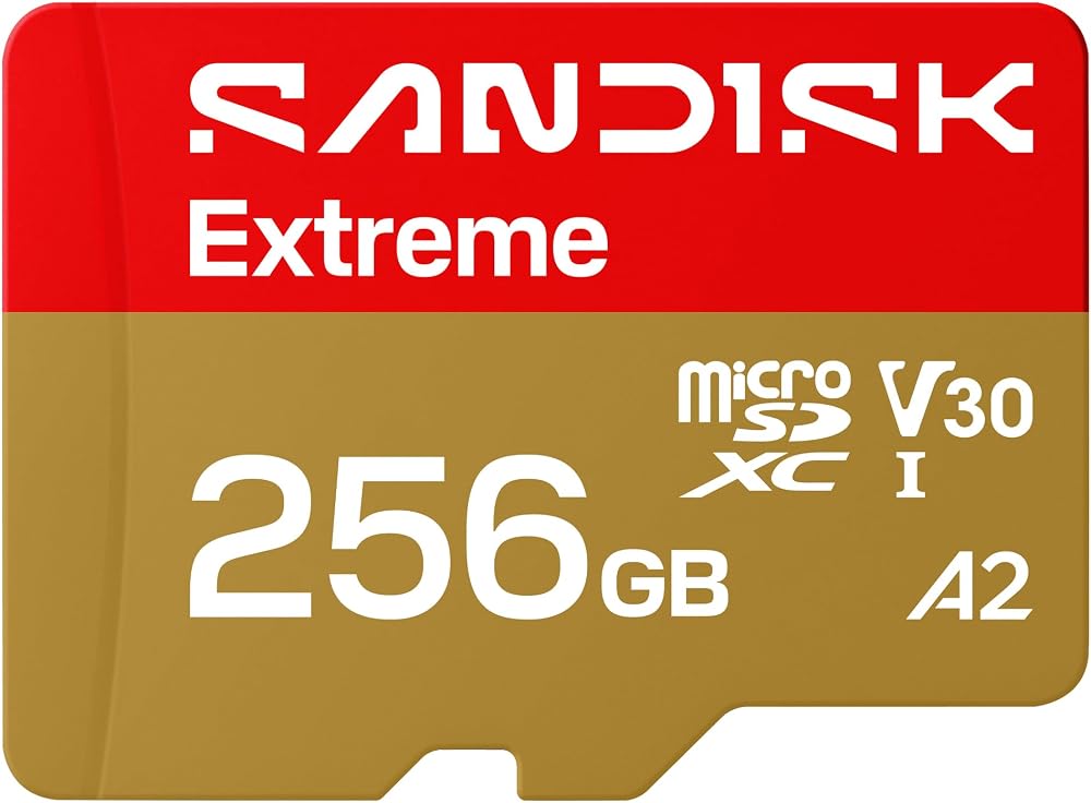 SanDisk Extreme 256 Go microSDXC pour GoPro