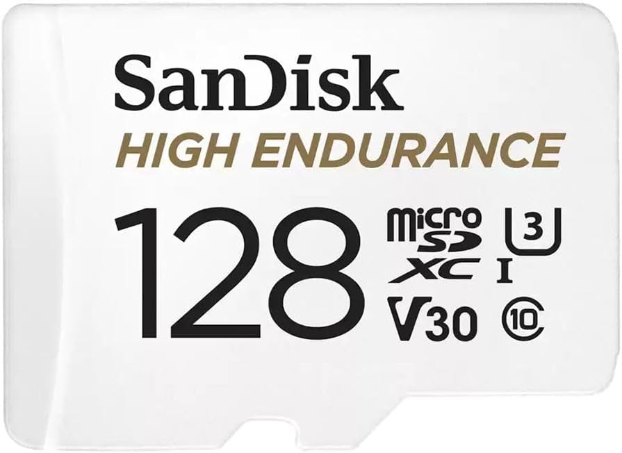 SanDisk High Endurance 128 Go microSDXC pour GoPro