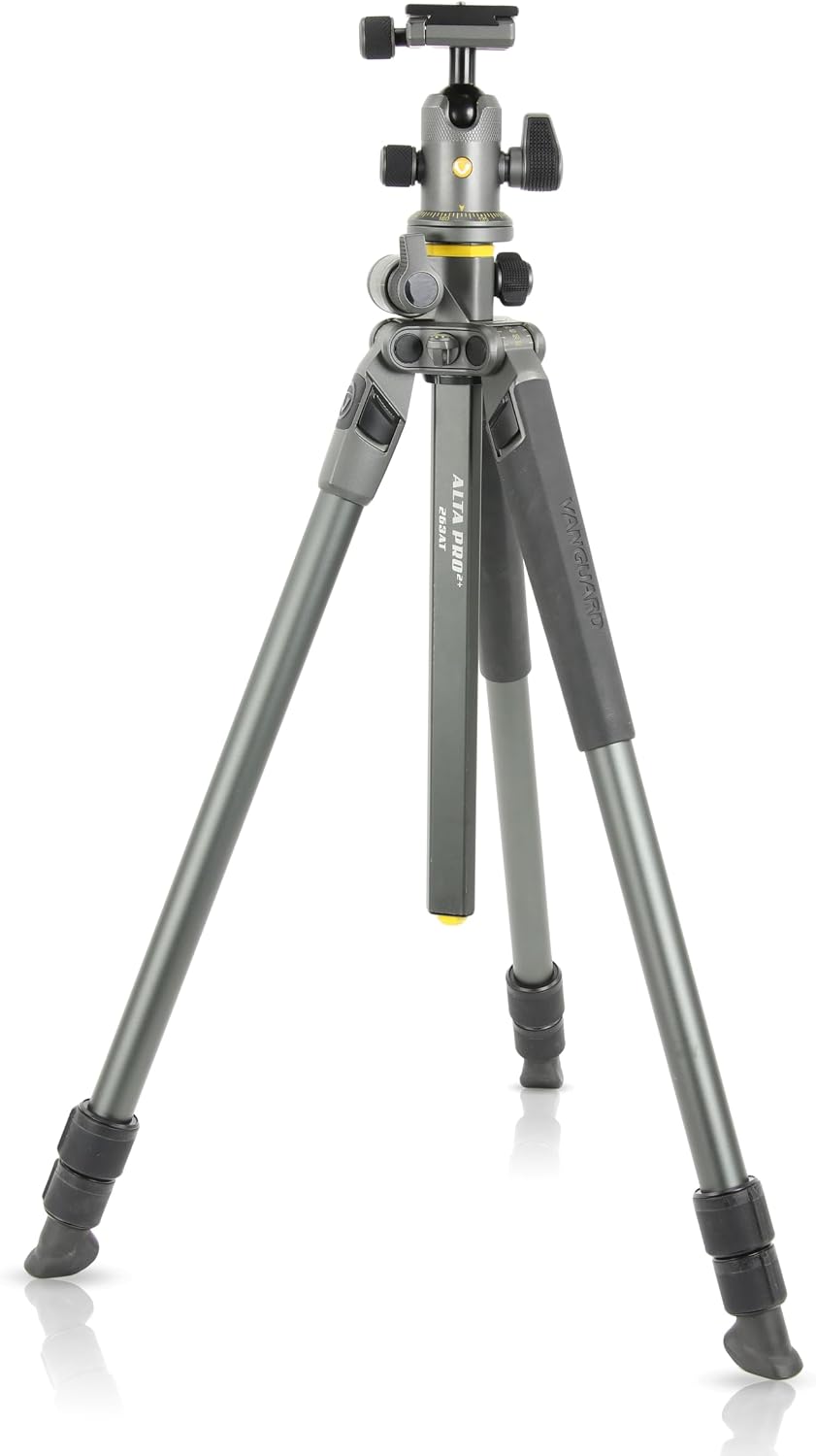Vanguard Alta Pro 2+ 263AB 100